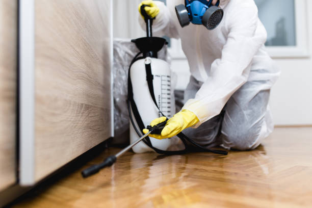 Best Best Pest Control Companies  in Hope, IN