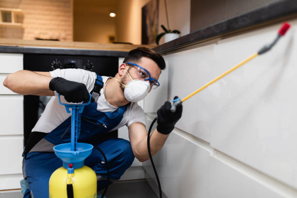 Best Pest Inspection Near Me  in Hope, IN
