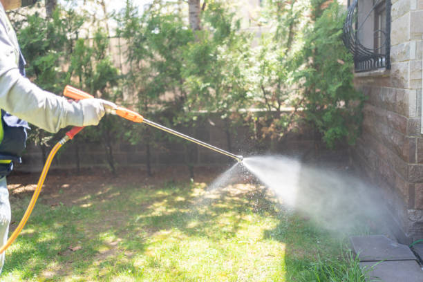 Professional Pest Control in Hope, IN